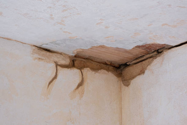 Best Professional water damage repair  in Hamilton College, NY