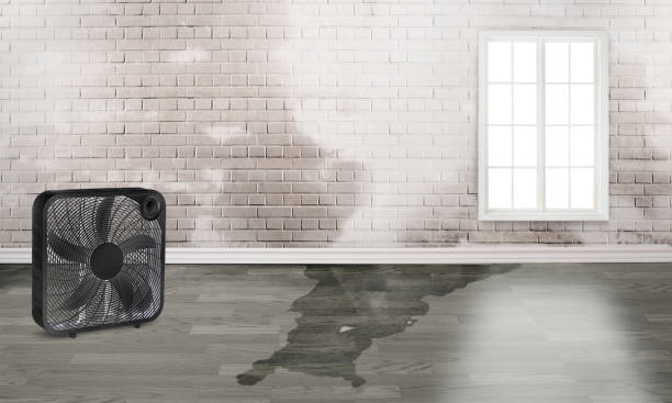 Best Residential water damage restoration  in Hamilton College, NY