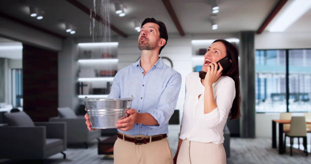 Best Mold removal after water damage  in Hamilton College, NY