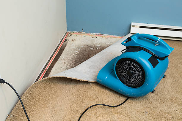Best Local water damage restoration  in Hamilton College, NY
